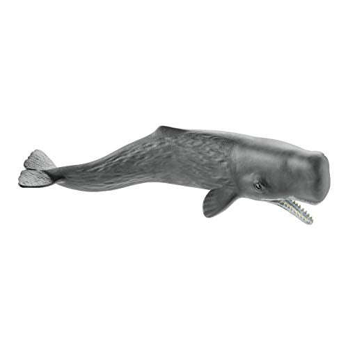 Schleich 14764 - Wild Life Sperm whale