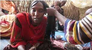 Chebe, Shebe Powder, Chebe Powder Chebe Mix From Chad  Strengthen Natural Hair Growth. Africa's...