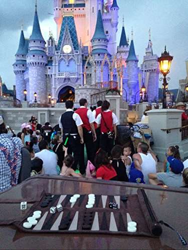 Sondergut Roll-Up Suede Backgammon Game (Color-Mocha)