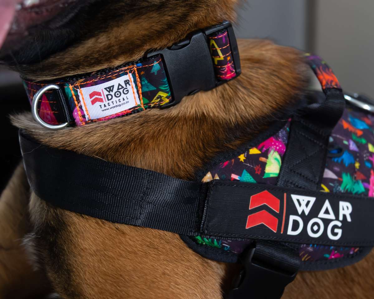 Limited Edition Festive Collar