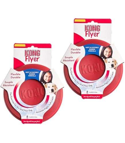 Kong Flyer