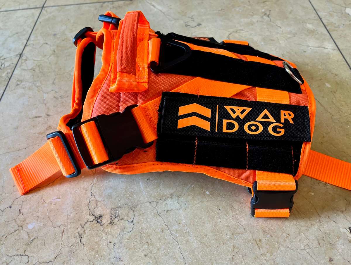 War Dog Ghost Harness