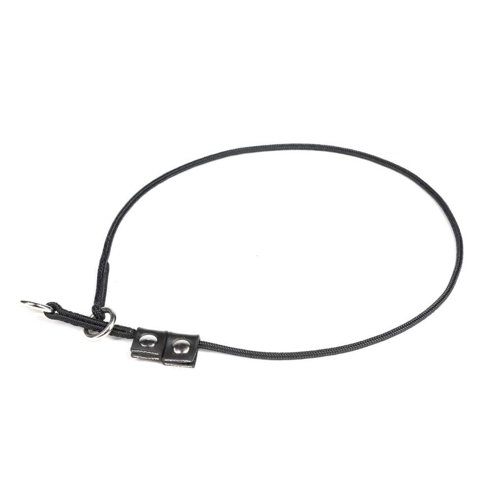 Julius K9 Training Collar