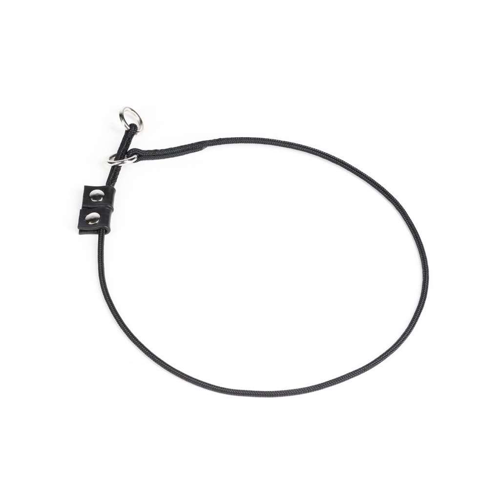 Julius K9 Training Collar