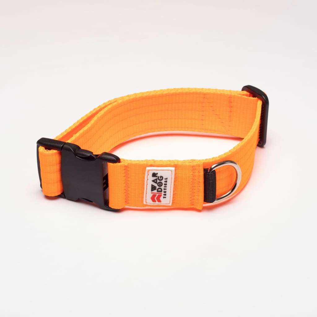 War Dog 38mm Light Collar