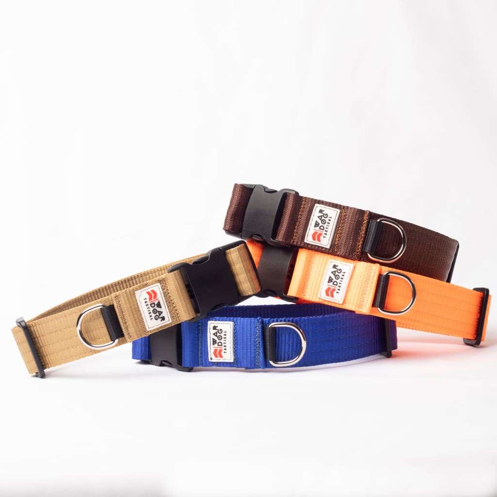 War Dog 38mm Light Collar