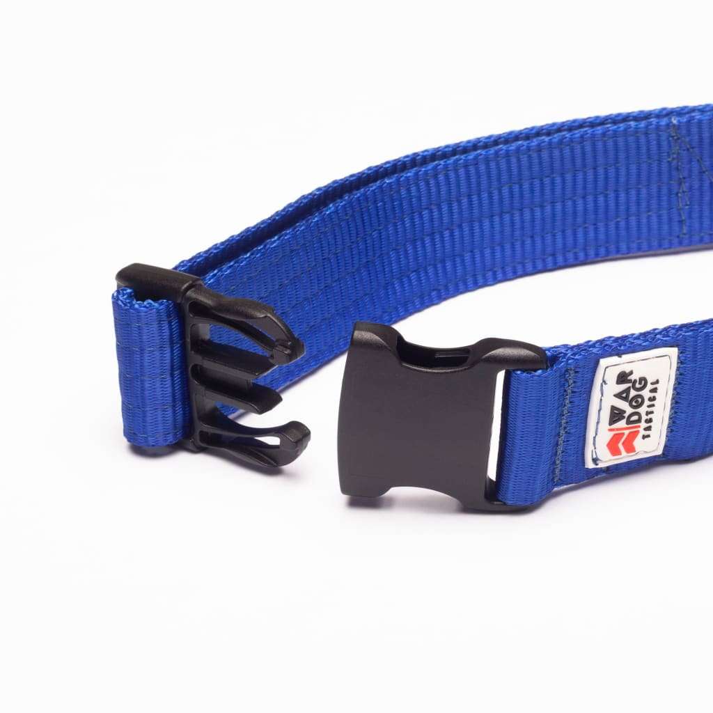 War Dog 38mm Light Collar