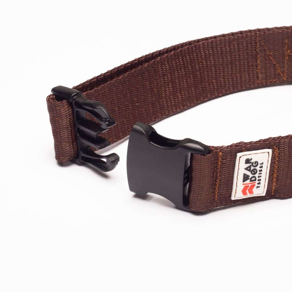 War Dog 38mm Light Collar
