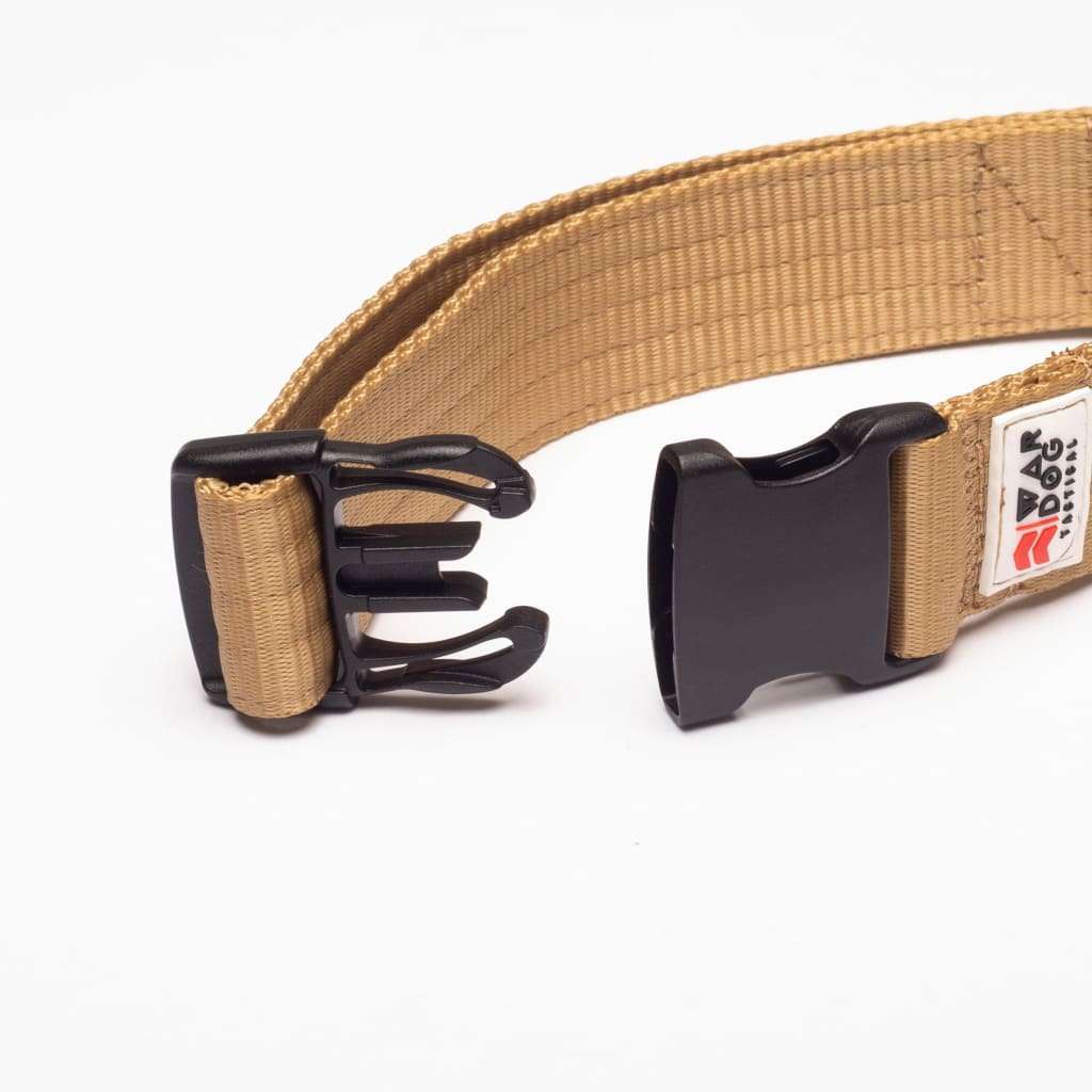 War Dog 38mm Light Collar