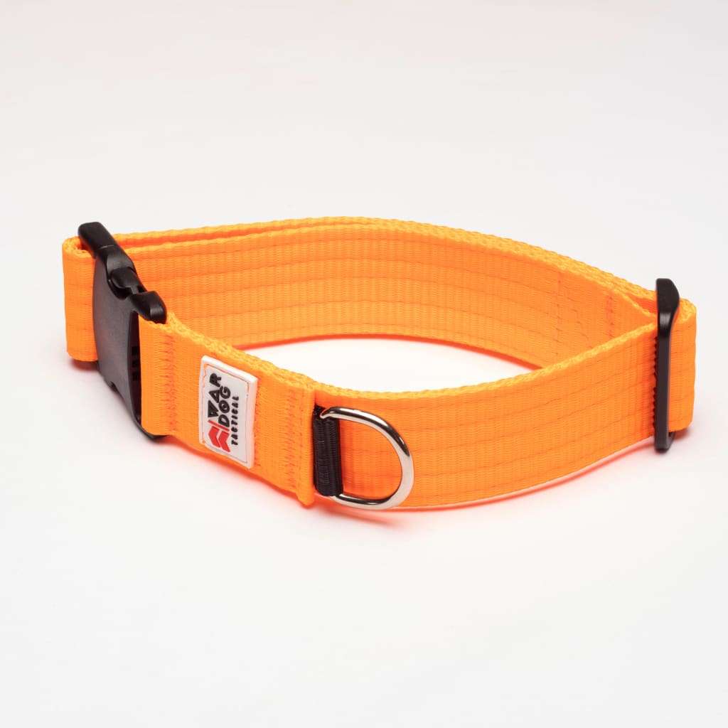 War Dog 38mm Light Collar
