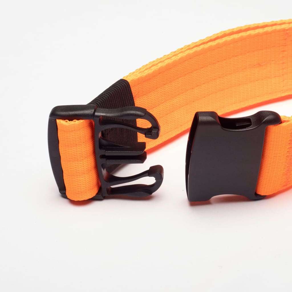 War Dog 50mm Light Collar