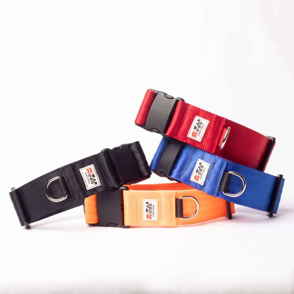 War Dog 50mm Light Collar