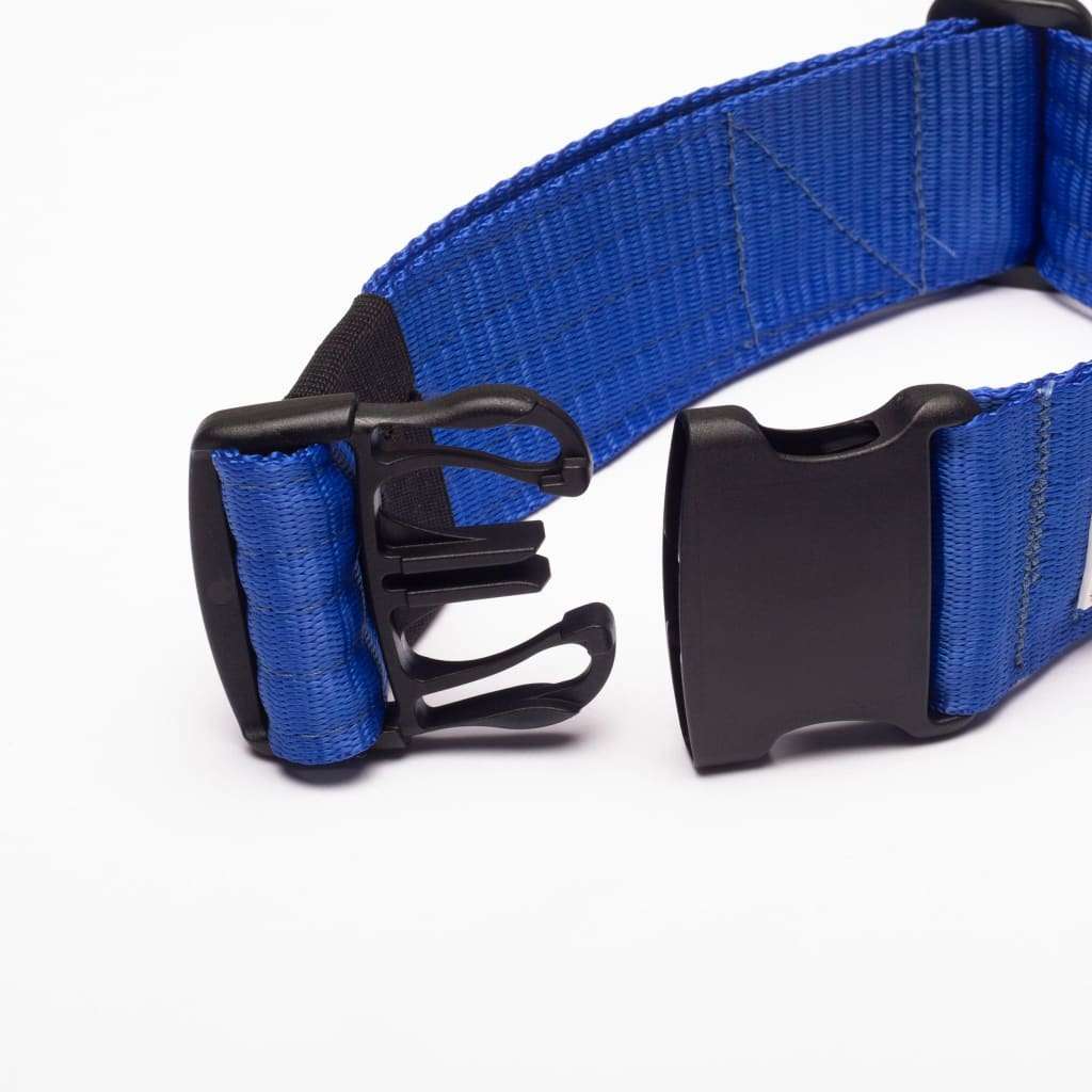 War Dog 50mm Light Collar