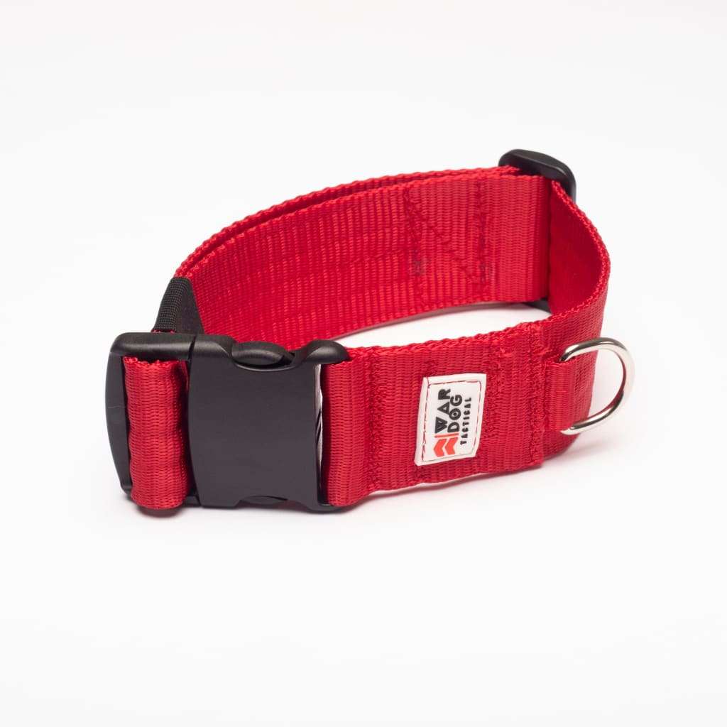 War Dog 50mm Light Collar
