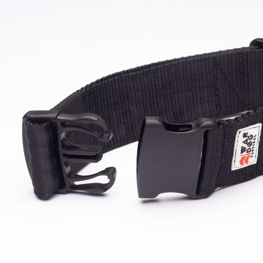 War Dog 50mm Light Collar