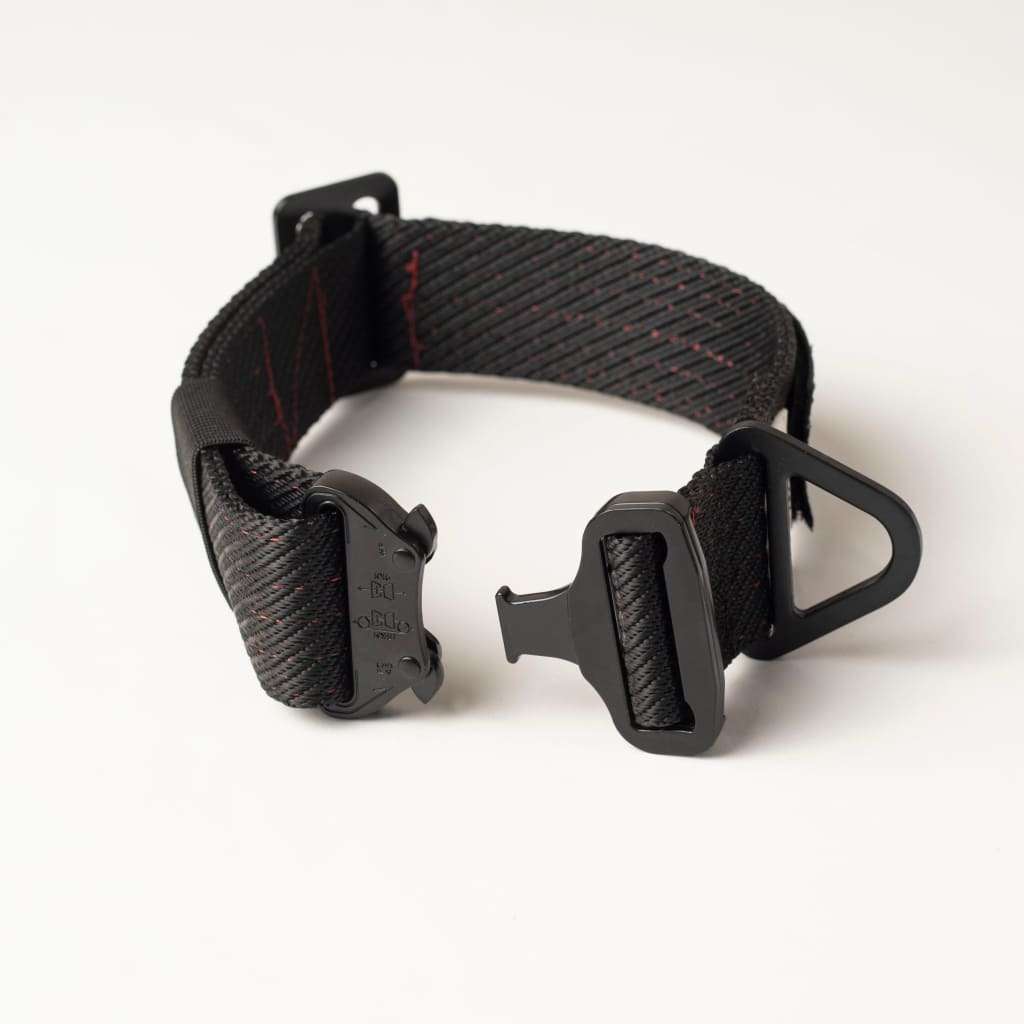 War Dog FOXTROT RIGID Collar - 45mm - Black (Red Stitching) / Small