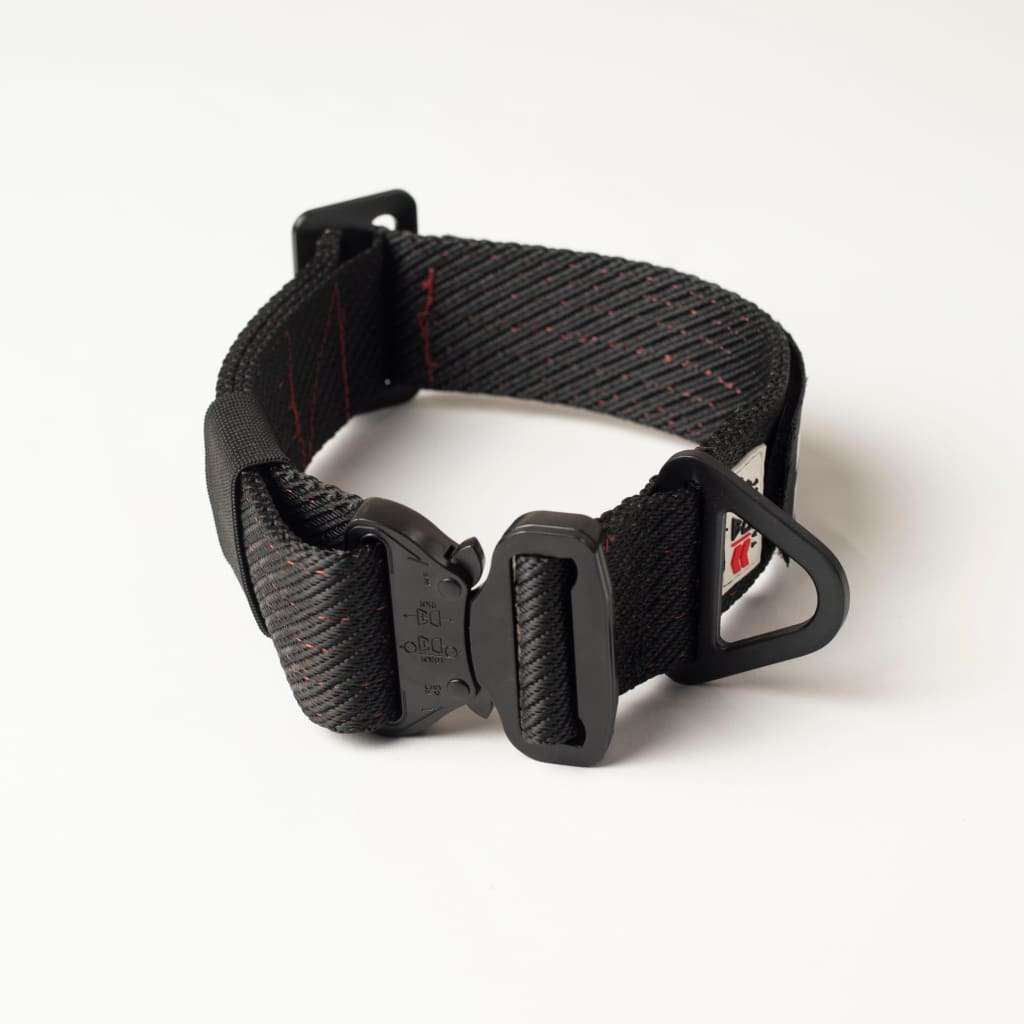 War Dog FOXTROT RIGID Collar - 45mm - Black (Red Stitching) / Small