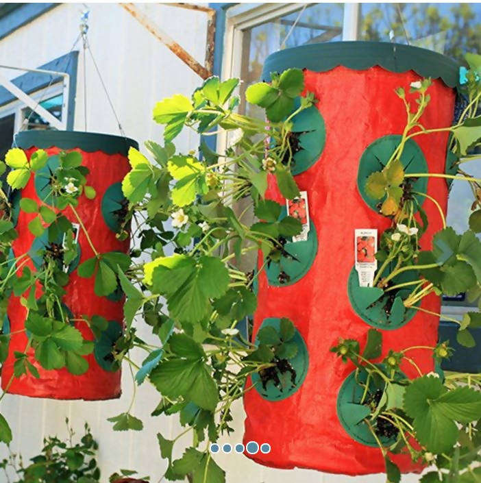 Topsy Turvy Upside Down Planters Growers