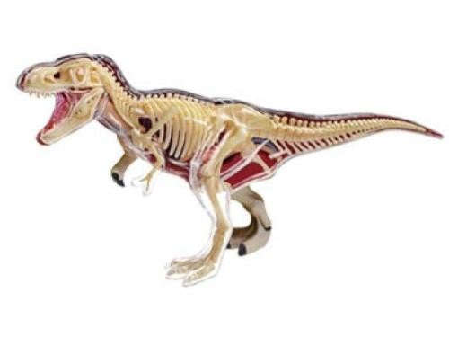 Animal Anatomy T-Rex