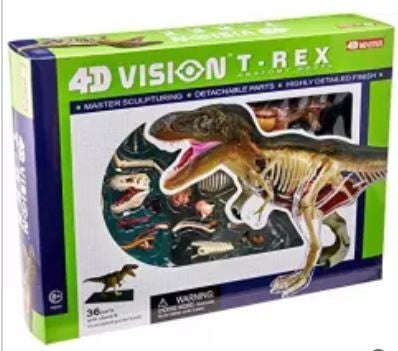 Animal Anatomy T-Rex