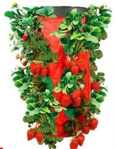 Topsy Turvy Upside Down Planters Growers