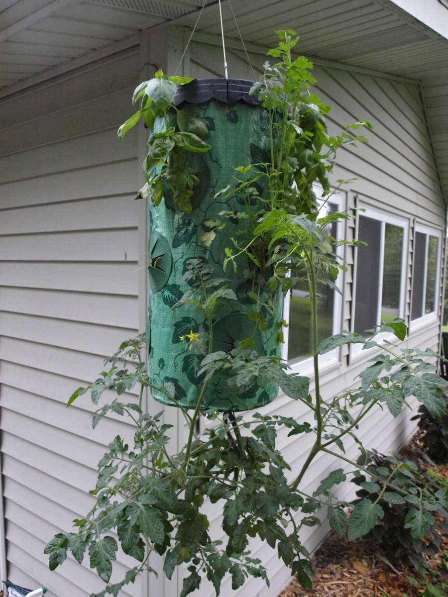 Topsy Turvy Upside Down Planters Growers