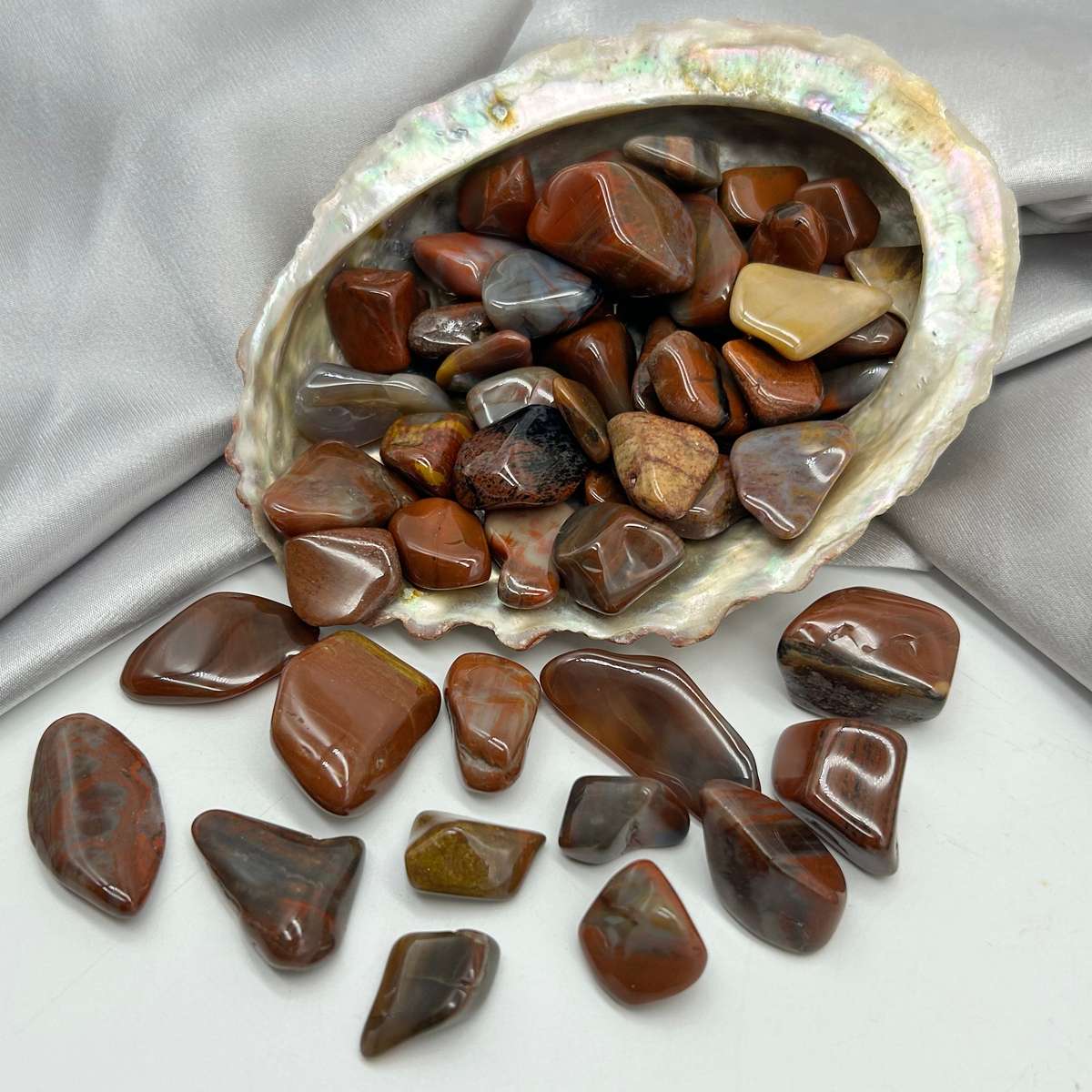 Tumbled Petrified Wood