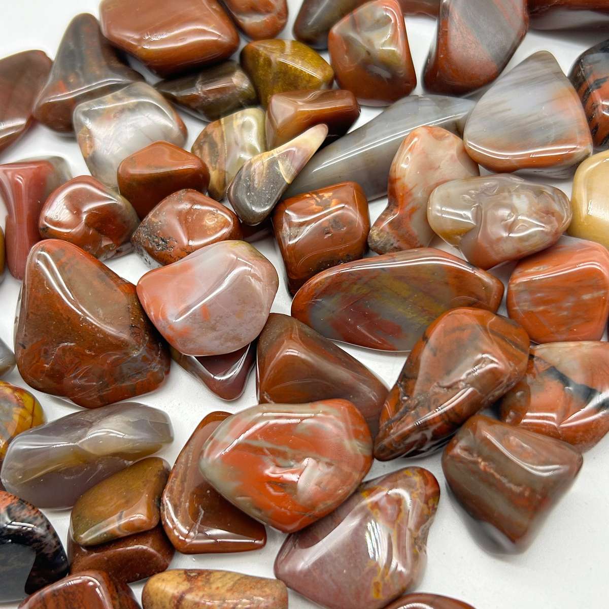 Tumbled Petrified Wood