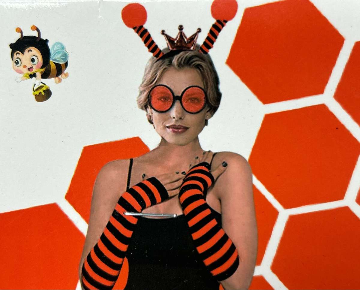 Ladybug Dress-up Set