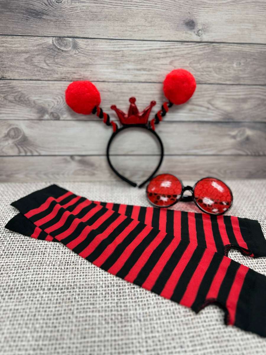 Ladybug Dress-up Set