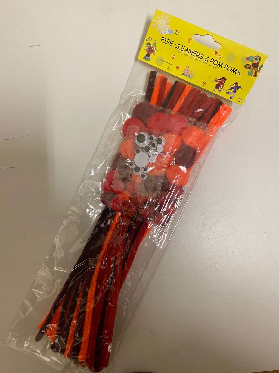 Orange Pipe Cleaning and Pom Poms Craft Set