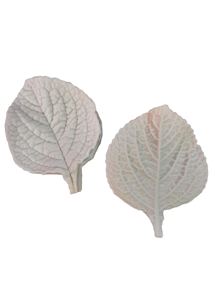 Leaf veiner silicone mould, C size of mould 6x4.5cm