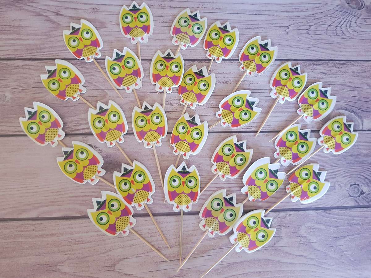 24 Owl Cupcake Toppers Toothpicks