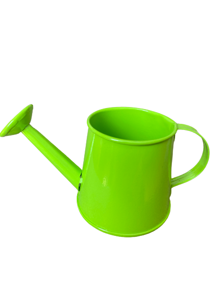 Green 5cm Sweet Container Water Can