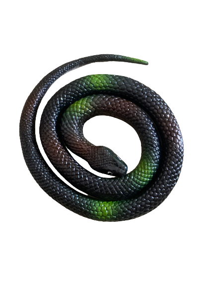 Rubber Snake