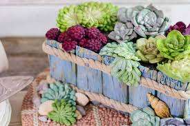 Succulent silicone mould,