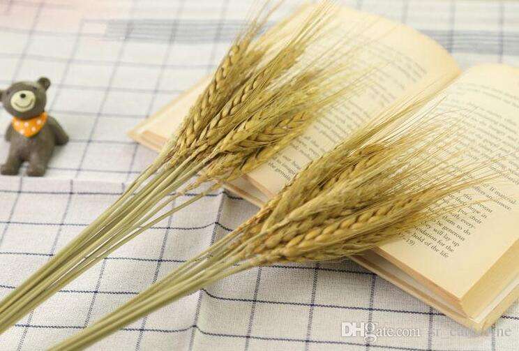 Dry Blooms Wheat Cake Topper 12pcs +-20cm