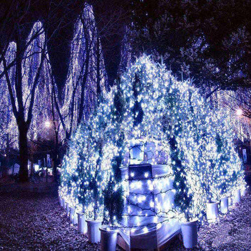 Fairy String Lights-10m