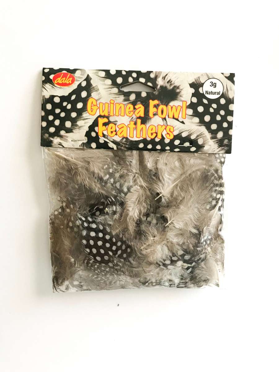 Feathers - Guinea Fowl Feathers - Assorted colours