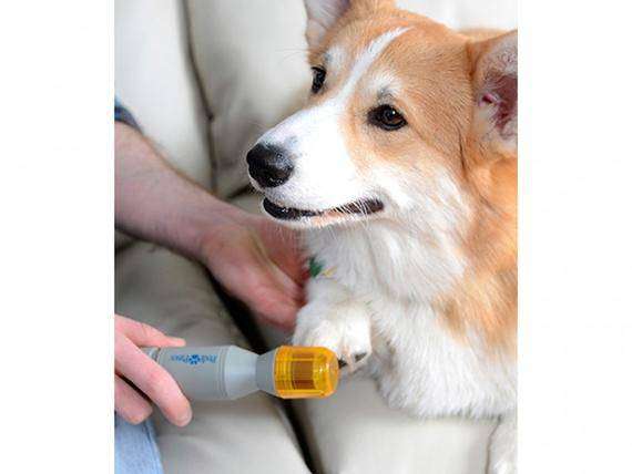 Pedi Paw Pet Nail Trimmer for Dogs and Cats