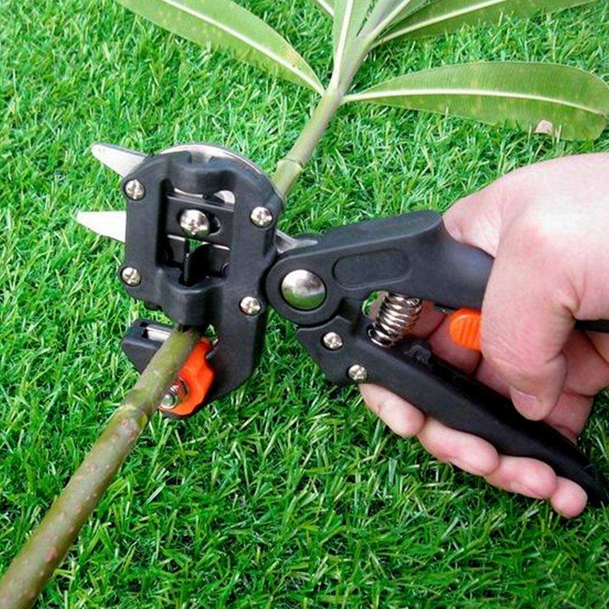 Professional Garden Grafting Cutting Tool Pruner Kit Branch Fruit Tree Cutting