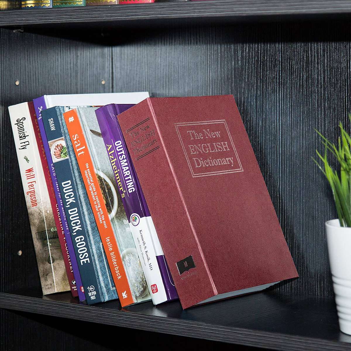 Book Safe with Combination Lock