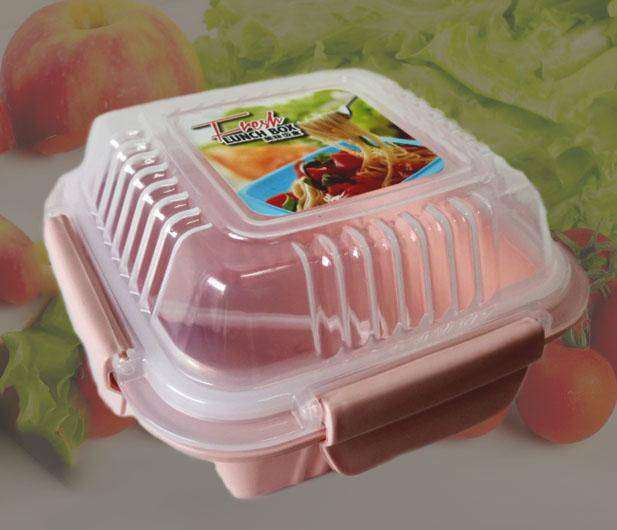 Mini Fresh Lunch Box