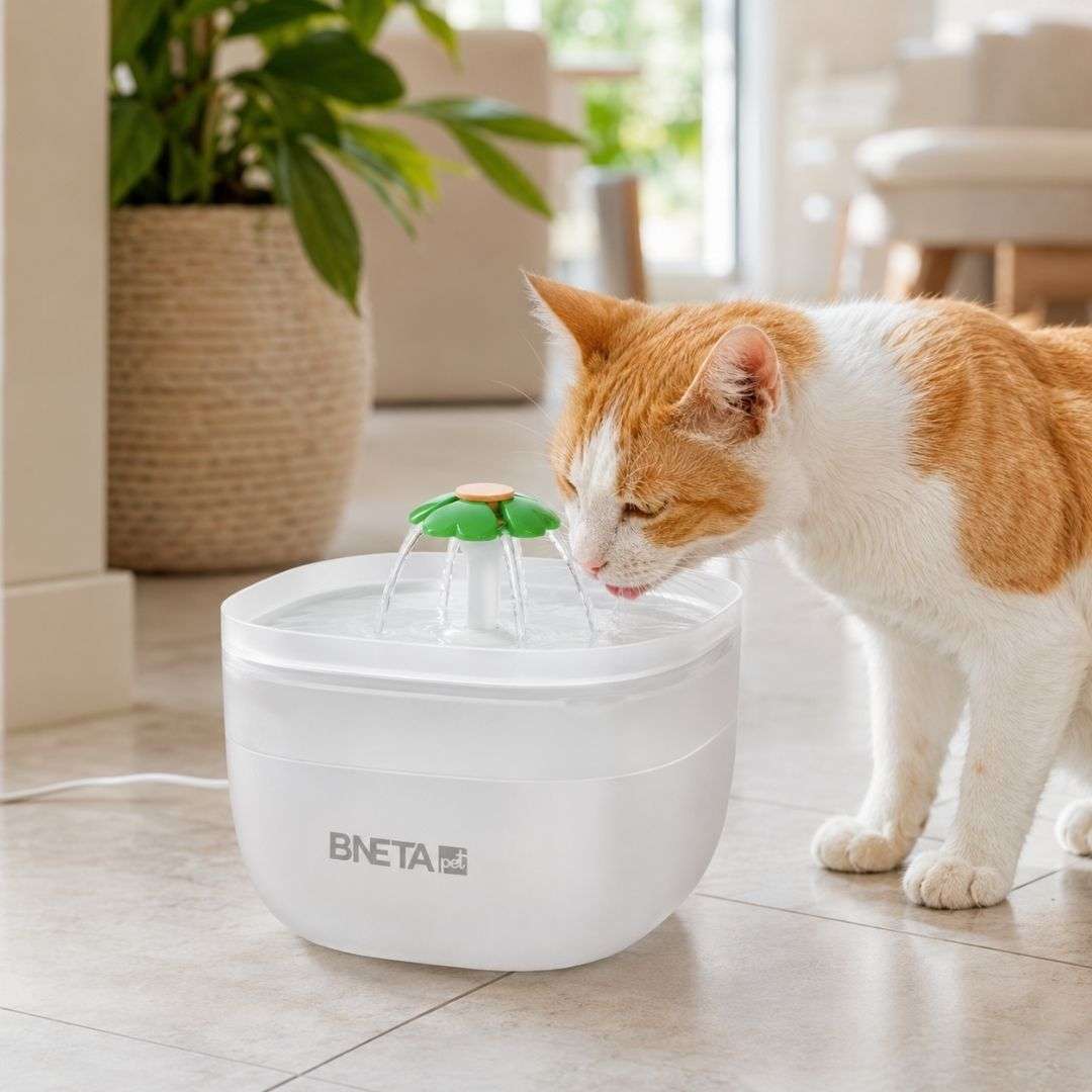 BNETA W7 - Pet Automated 2L Water Fountain