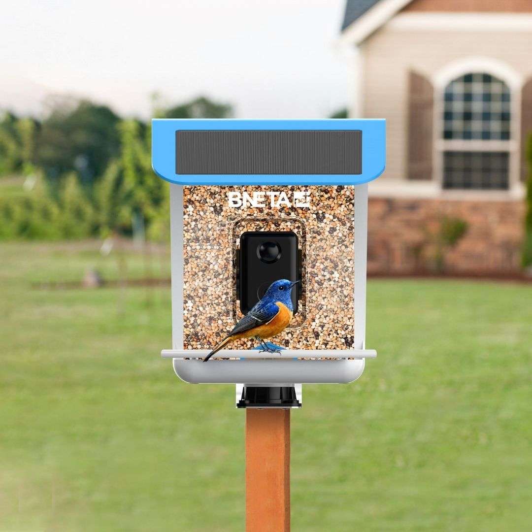 BNETA - Pet Smart AI Bird Feeder BF002