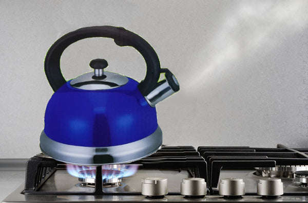 Stainless Steel Whistling Tea Kettle (3L)