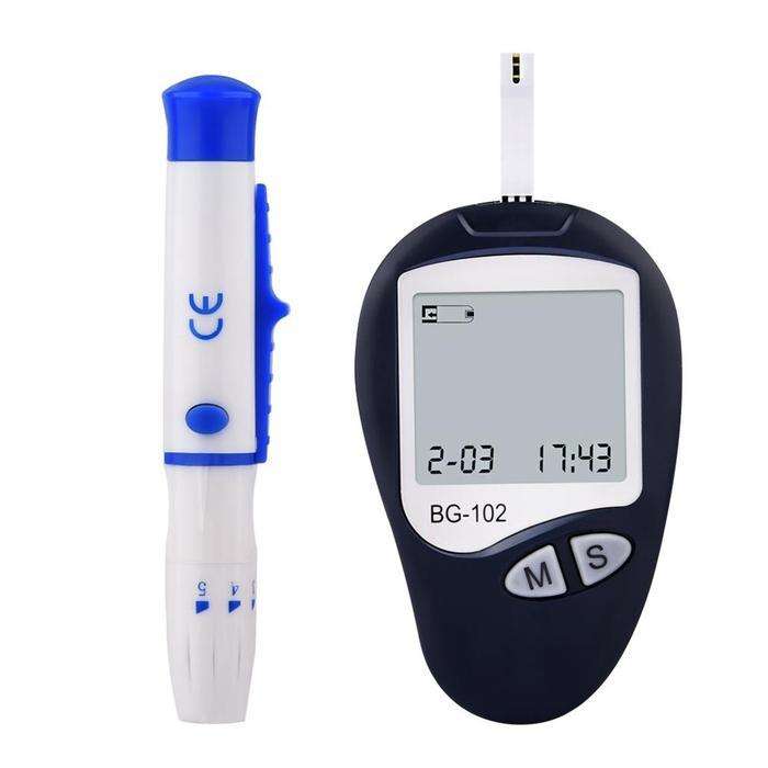 Blood Glucose Monitoring System