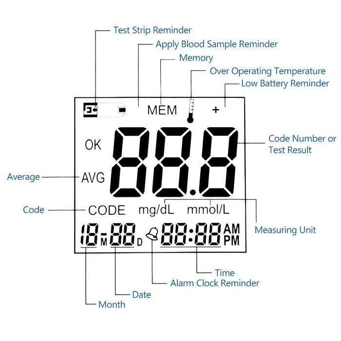 Blood Glucose Monitoring System