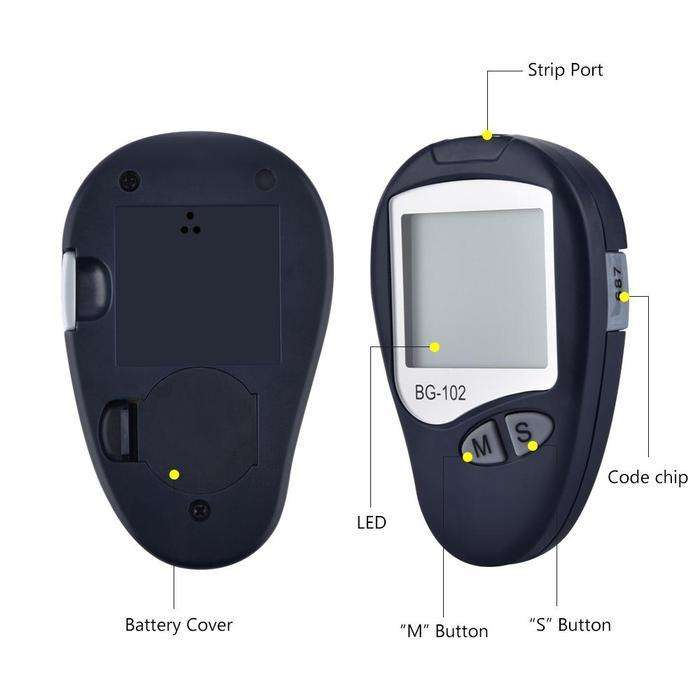 Blood Glucose Monitoring System