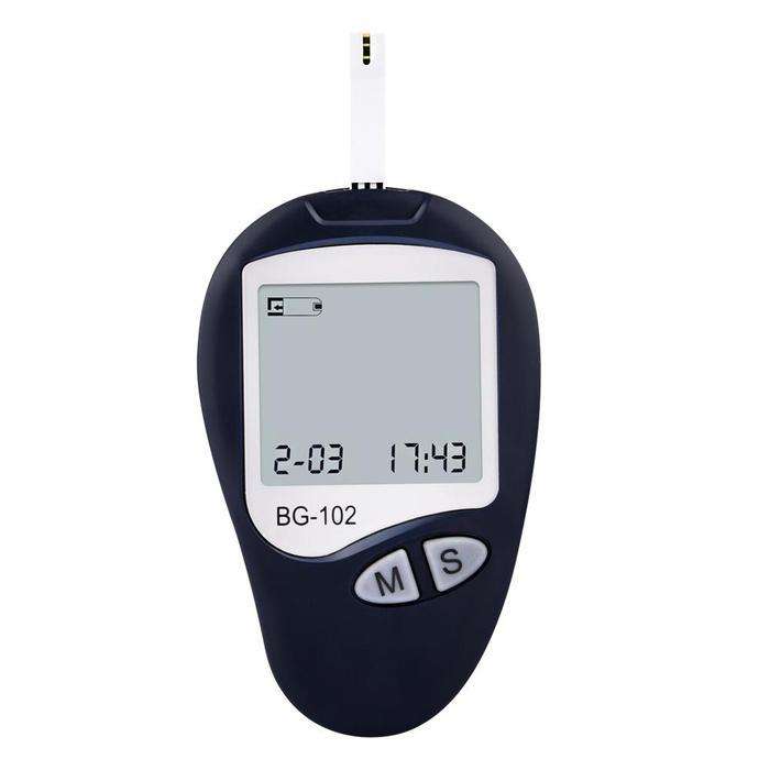 Blood Glucose Monitoring System